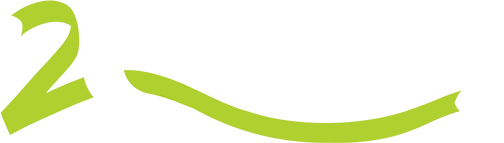 20th Anniversary Logo